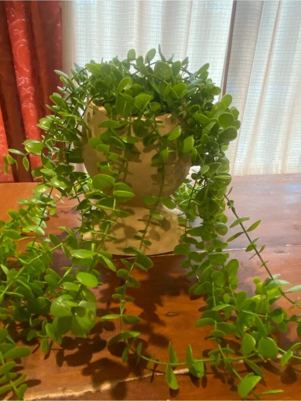 Decorative Planter Head Bust - Decorative Home Accent